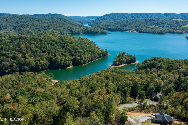 Alum Dr, New Tazewell, TN 37825