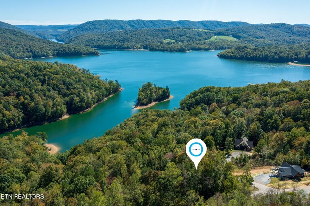 Alum Dr, New Tazewell, TN 37825