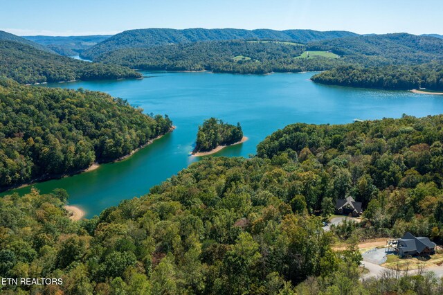 Alum Dr, New Tazewell, TN 37825