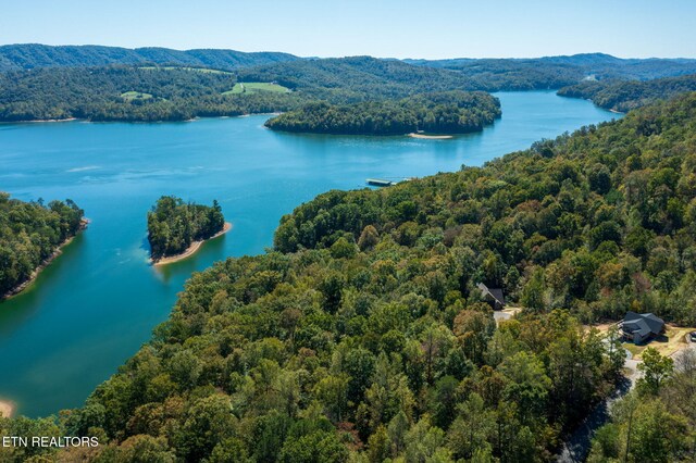 Alum Dr, New Tazewell, TN 37825
