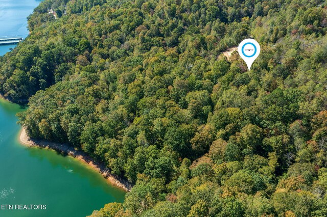 Alum Dr, New Tazewell, TN 37825