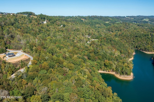 Alum Dr, New Tazewell, TN 37825