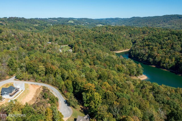 Alum Dr, New Tazewell, TN 37825