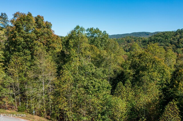 Alum Dr, New Tazewell, TN 37825