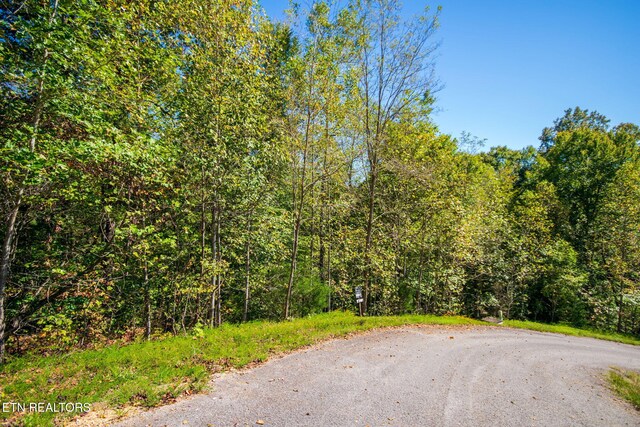 Alum Dr, New Tazewell, TN 37825