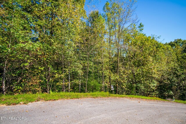 Alum Dr, New Tazewell, TN 37825
