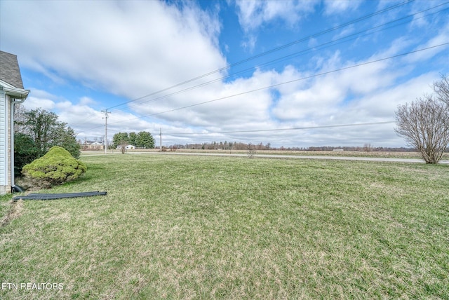 view of yard with a rural view