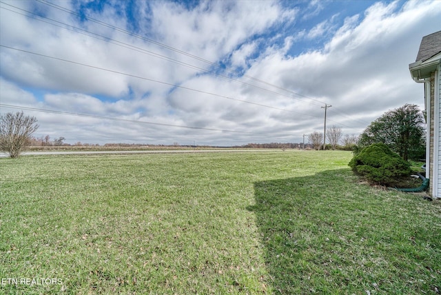 view of yard featuring a rural view