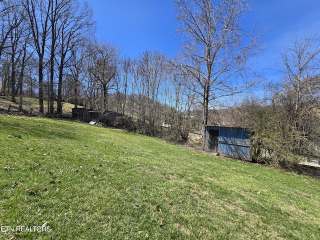 view of yard featuring an outbuilding and a shed