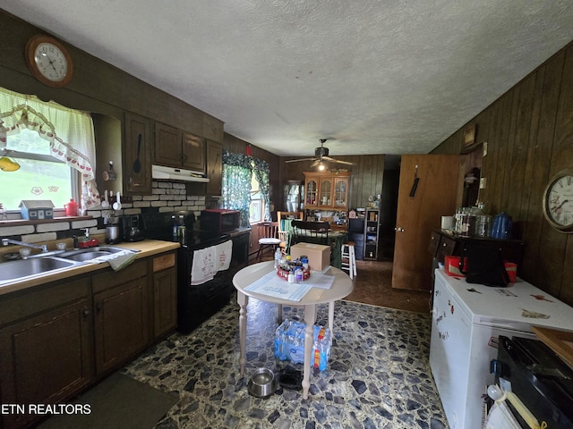 1849 Old Harlan Rd, Jonesville, VA 24263 - kitchen featuring black appliances, a sink, a ceiling fan, under cabinet range hood, and light countertops