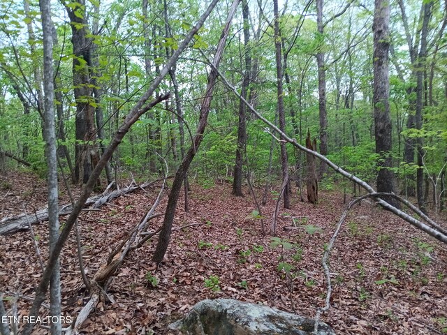 30 Sr 30, Pikeville, TN 37367