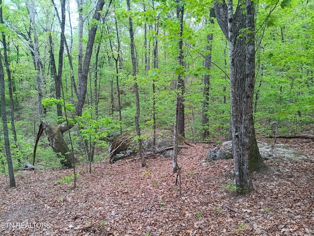 30 Sr 30, Pikeville, TN 37367