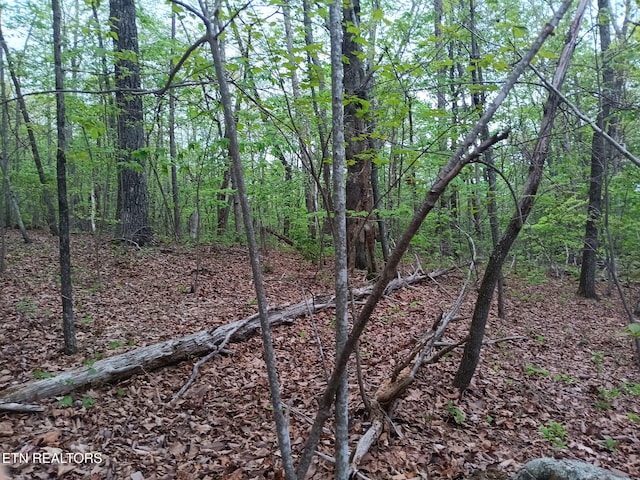 30 Sr 30, Pikeville, TN 37367
