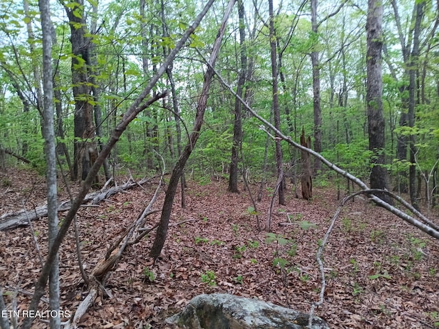 30 Sr 30, Pikeville, TN 37367