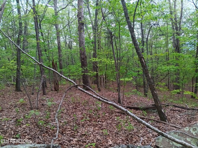 30 Sr 30, Pikeville, TN 37367