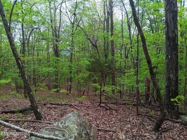30 Sr 30, Pikeville, TN 37367