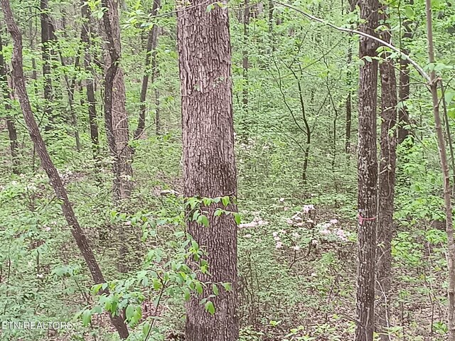 30 Sr 30, Pikeville, TN 37367