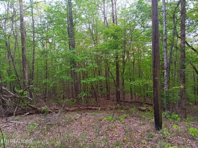 30 Sr 30, Pikeville, TN 37367