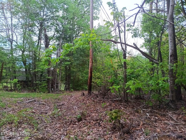 30 Sr 30, Pikeville, TN 37367