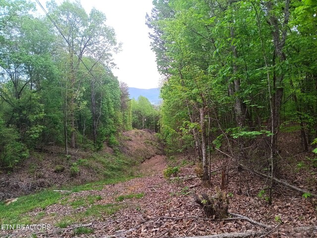 30 Sr 30, Pikeville, TN 37367