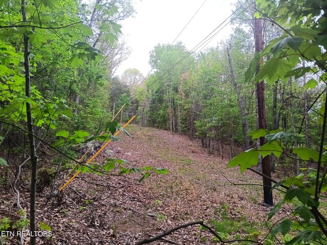 30 Sr 30, Pikeville, TN 37367