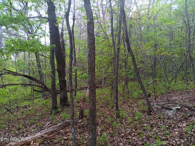 30 Sr 30, Pikeville, TN 37367