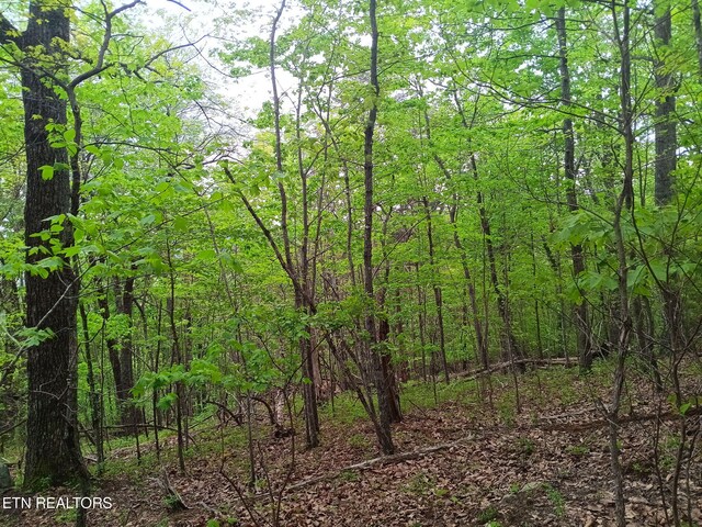 30 Sr 30, Pikeville, TN 37367