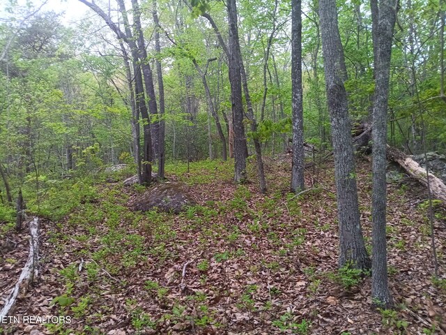 30 Sr 30, Pikeville, TN 37367