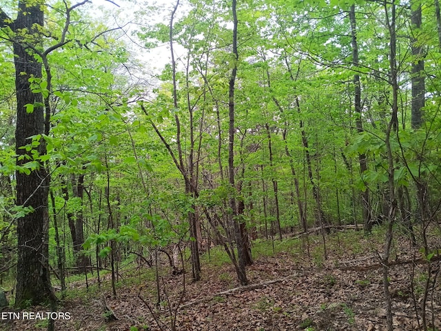 30 Sr 30, Pikeville, TN 37367