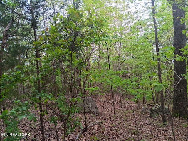30 Sr 30, Pikeville, TN 37367