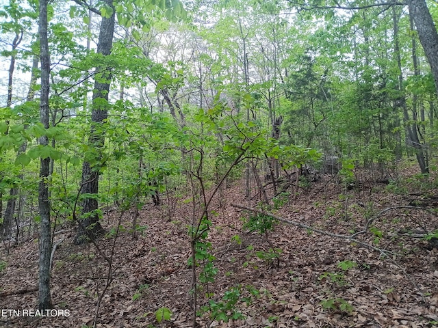 30 Sr 30, Pikeville, TN 37367