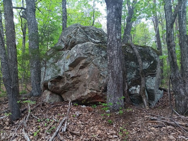 30 Sr 30, Pikeville, TN 37367
