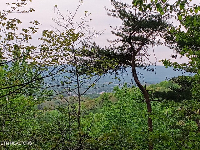 30 Sr 30, Pikeville, TN 37367