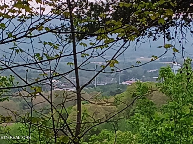 30 Sr 30, Pikeville, TN 37367