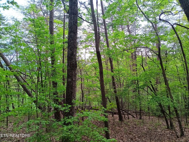 30 Sr 30, Pikeville, TN 37367