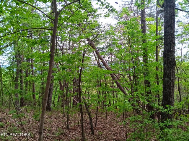 30 Sr 30, Pikeville, TN 37367