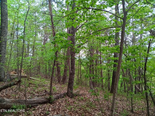 30 Sr 30, Pikeville, TN 37367
