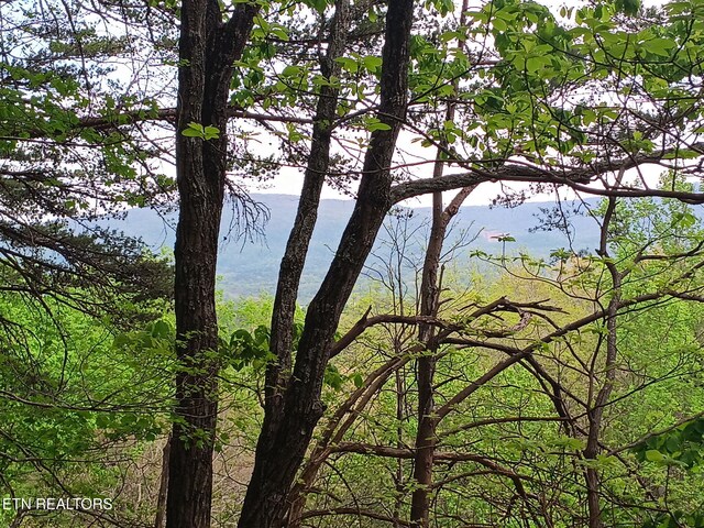 30 Sr 30, Pikeville, TN 37367