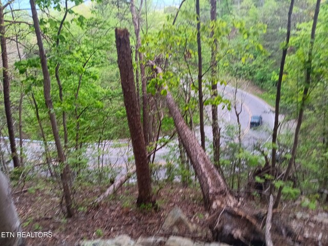 30 Sr 30, Pikeville, TN 37367