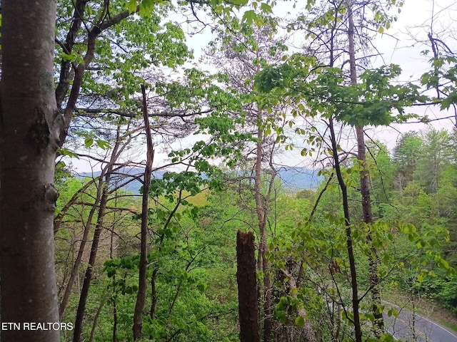 30 Sr 30, Pikeville, TN 37367