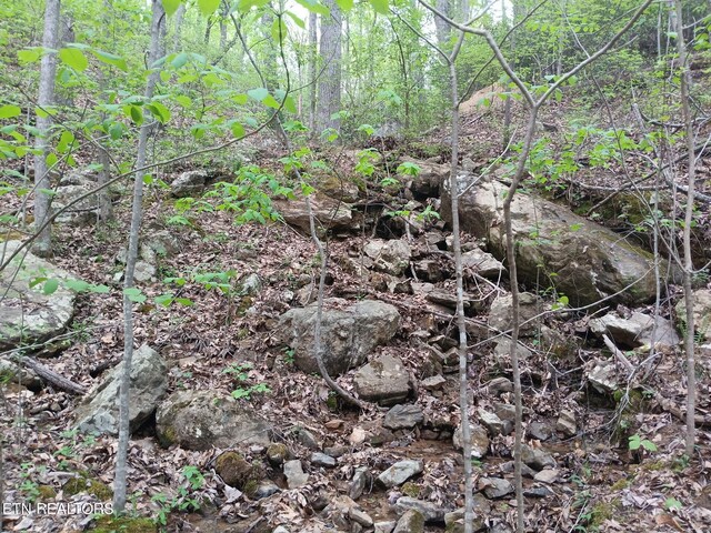 30 Sr 30, Pikeville, TN 37367