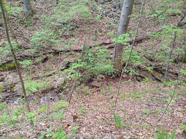 30 Sr 30, Pikeville, TN 37367