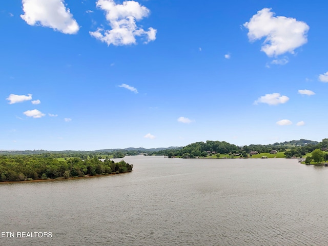 4720 Scenic Point Dr, Louisville, TN 37777 - water view