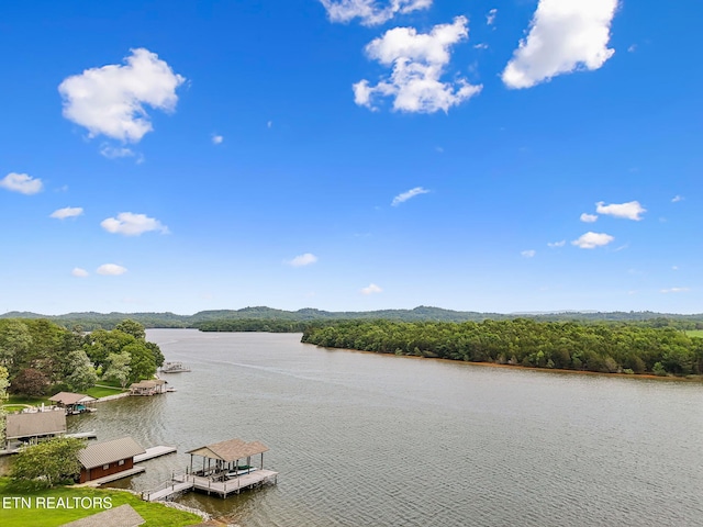 4720 Scenic Point Dr, Louisville, TN 37777 - water view featuring a heavily wooded area