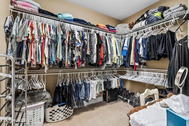 144 Nunyu Trl, Vonore, TN 37885 - walk in closet with carpet flooring