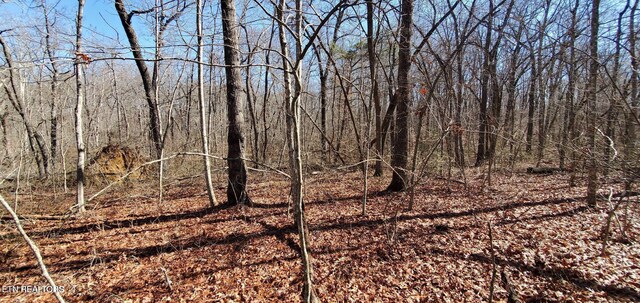 11 Rhonda Rd, Monterey, TN 38574