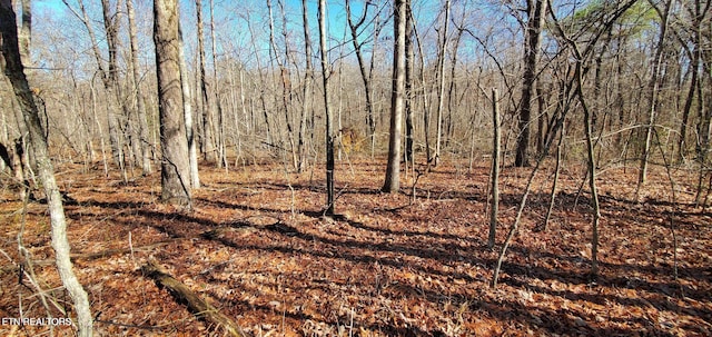 11 Rhonda Rd, Monterey, TN 38574