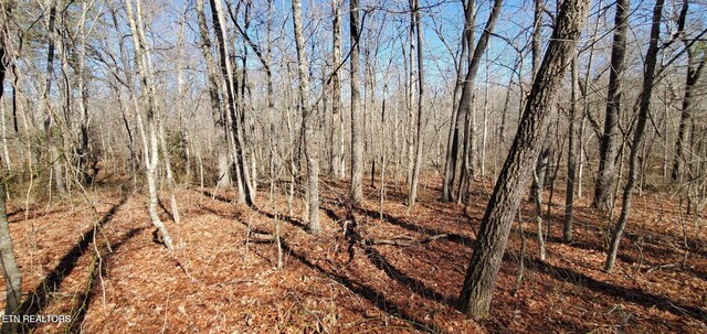 11 Rhonda Rd, Monterey, TN 38574