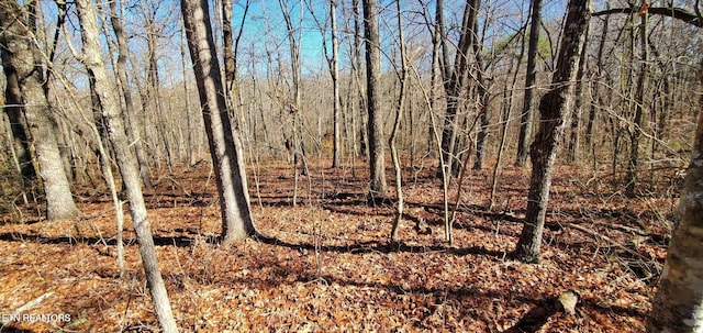 11 Rhonda Rd, Monterey, TN 38574