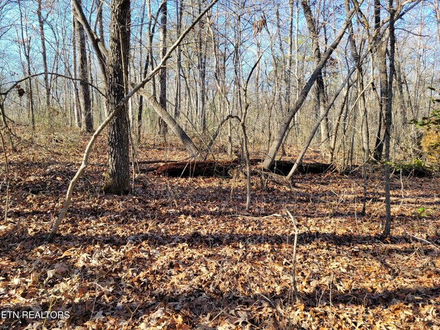 11 Rhonda Rd, Monterey, TN 38574